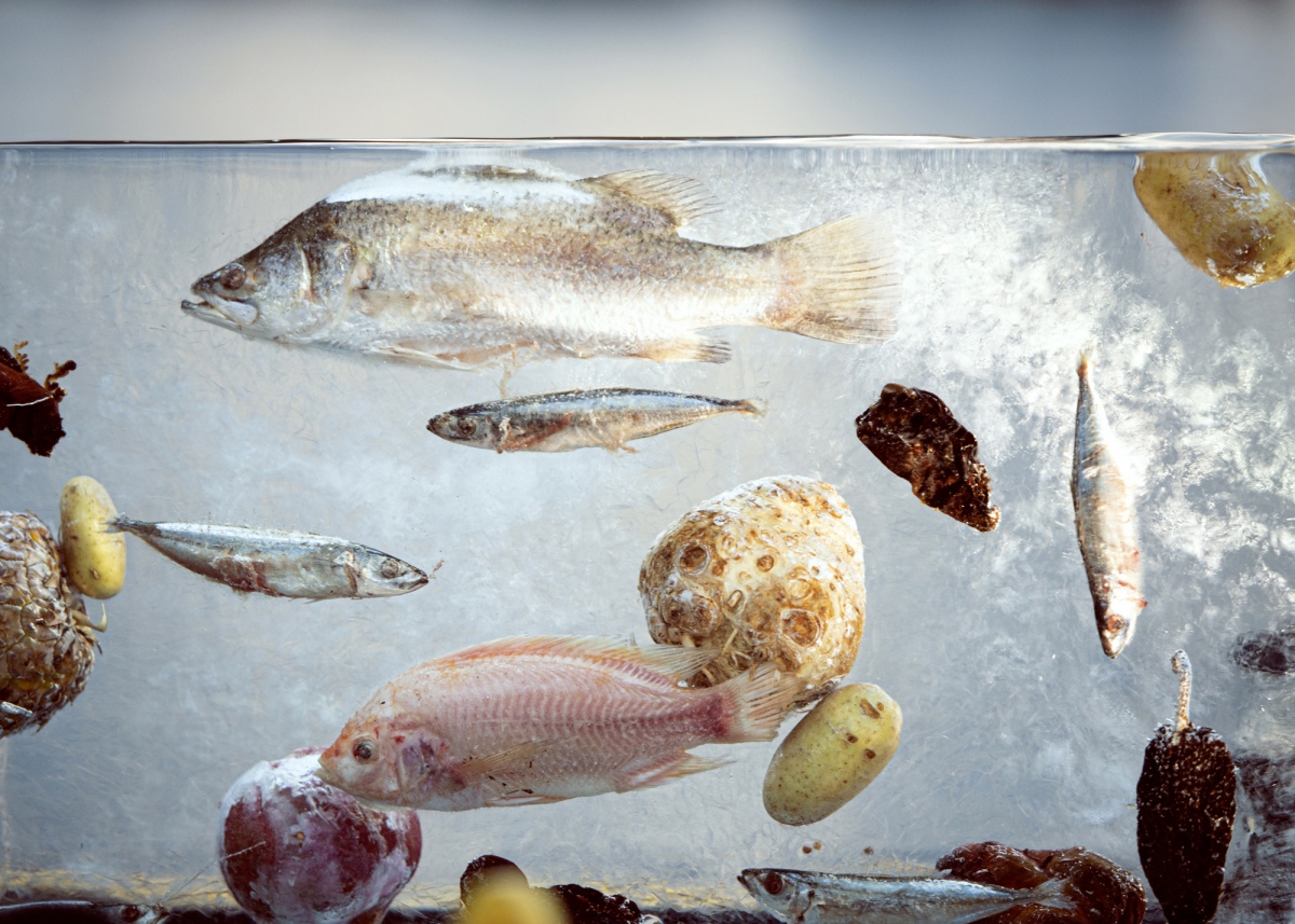 Amber-Ice (In 5-Latidudes) / part as Another Map to Nevada organised by The Performance Agency, Berlin waterways 2020 - Photos: Melanie Gl&uuml;ck and Luis Artemio de Los Santos