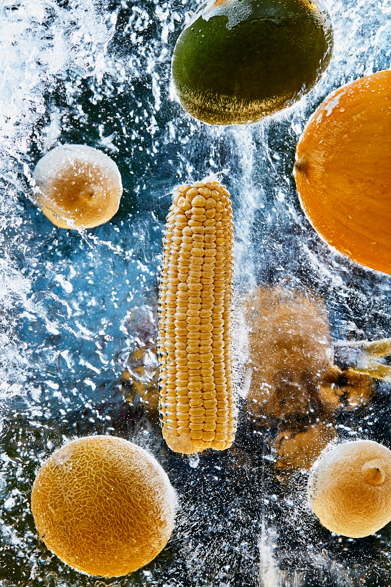 Solar Disk at Br&uuml;cke Museum Berlin - August 2021 - Photo: Angelo Dal B&oacute;